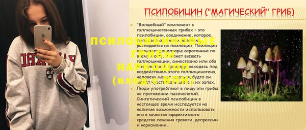 стафф Алексин