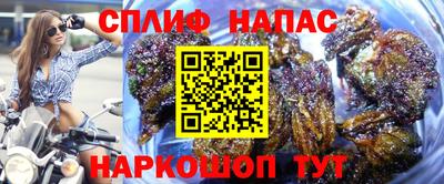 ECSTASY Долгопрудный